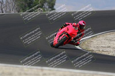 media/Jul-19-2025-TrackDaz (Sat) [[ff1509a44a]]/A Group/11am (Turn 2)/